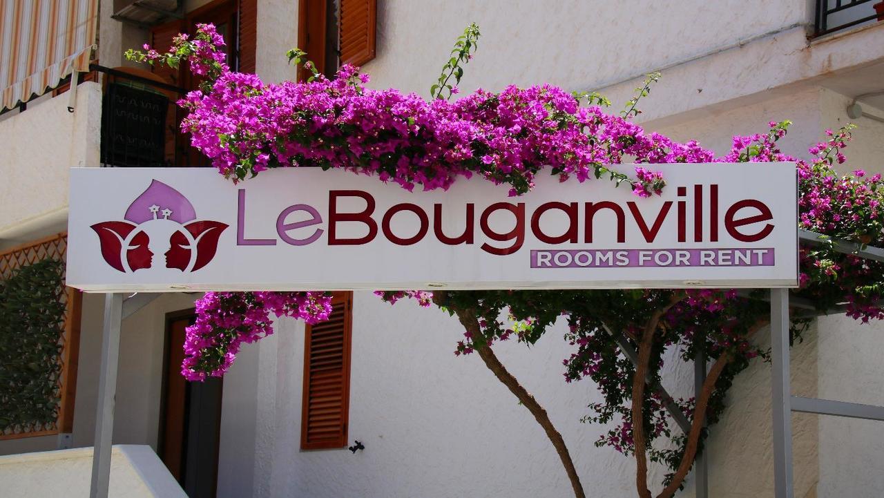 Le Bouganville فيستَ المظهر الخارجي الصورة